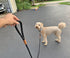 6 FT Rope Dog Leash, Soft Strong Braided Leash with Leather Tailor Connection Pet Leash for Small Medium Large Dogs...