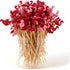 Cocktail Picks 200 Counts Handmade Sticks Wooden ?Natural Bamboo Toothpicks Cocktail Sticks Party Supplies (Flamingo)…...