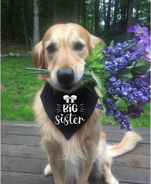 Big Sister Dog Bandana Collar, Pregnancy Announcement Dog Bandana, Strong D-Ring for Easy Leash Attached Gender Reveal Dog Bandana, Adjustable Dog...