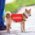 JXGZSO Nervous Do Not Approach Dog Jacket Vest Nervous Rescue Space Dog Vest Dog Walking Slogan Warning Vest (Training approach M)...