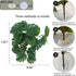 Fake Reptile Plants for Reptile Terrarium Plants, Reptile Plant Décor, Turtle Tank Plants with Suction Cup...
