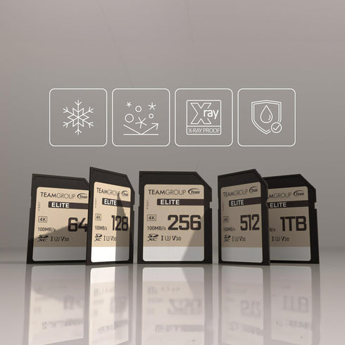 TEAMGROUP Elite 256GB UHS-I U3 V30 UHD Read Speed up to 100MB/s SDXC High Speed 4K Memory Card Compatible with Canon Sony Nikon Panasonic FUJIFILM...