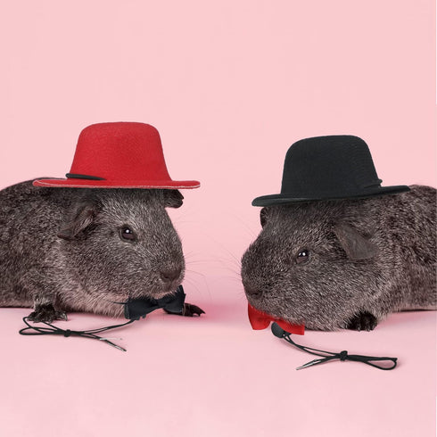 4 Sets 8 Pieces Guinea Pig Clothes Small Animal Bow Ties Pet Hats Outfit Suit Cosplay Cool Kawaii Pet Black Hat for Hamster Ferret Cat Rats Puppy ...