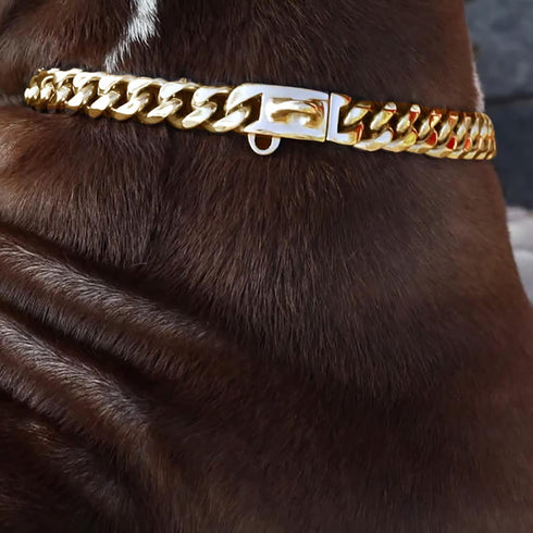 Gold Dog Chain Collar Walking Metal Chain Collar with Design Secure Buckle,14MM Heavy Duty Cuban Link Chain Training Collar for Small Medium Large...