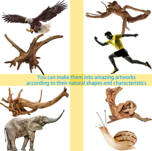 8 Pack Natural Driftwood for Aquarium, Aquarium Decor Spider Wood Freshwater Fish Tank Reptile Driftwood Branch (3.15"- 4")...