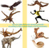 8 Pack Natural Driftwood for Aquarium, Aquarium Decor Spider Wood Freshwater Fish Tank Reptile Driftwood Branch (3.15"- 4")...