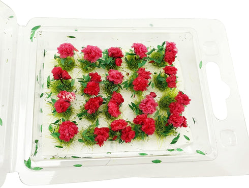 20Pcs Miniature Flower Cluster Grass Flower Tufts for Mini Dollhouse Fairy Garden Railway Simulated Static Scenery Micro Landscape Model (Red)...