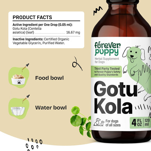Gotu Kola Drops for Dogs - Brain Supplement for Dogs w/Gotu Kola - Herbal Brain Health Support - Nutritional Supplement for Dogs of All Breeds & S...