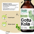 Gotu Kola Drops for Dogs - Brain Supplement for Dogs w/Gotu Kola - Herbal Brain Health Support - Nutritional Supplement for Dogs of All Breeds & S...