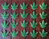 Ann Clark Cookie Cutters Marijuana Weed Leaf Cannabis Shaped Cookie Cutter 4/20 Gift, 3.5" made in USA...