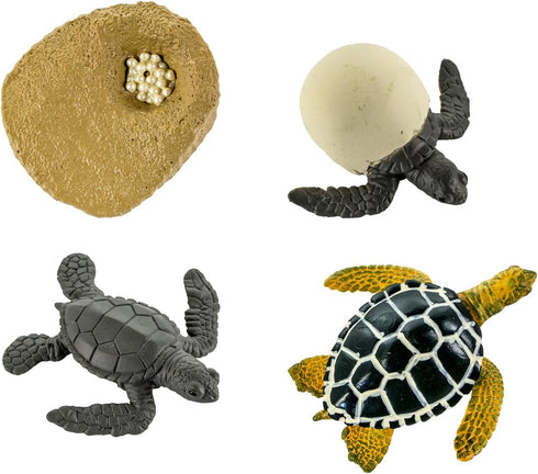 Safari Ltd. Life Cycle of a Green Sea Turtle - Educational Toy Figurines - Miniature Turtle Lifecycle Collection for Boys, Girls & Kids Age 4+...
