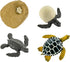 Safari Ltd. Life Cycle of a Green Sea Turtle - Educational Toy Figurines - Miniature Turtle Lifecycle Collection for Boys, Girls & Kids Age 4+...