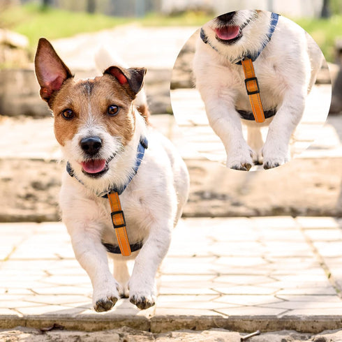 5 Pcs Safety Dog Collar Clips Prong Collar Backup Clips Adjustable Reflective Nylon Dog Collar Harness Connector Metal Double Ended Backup Clasp f...