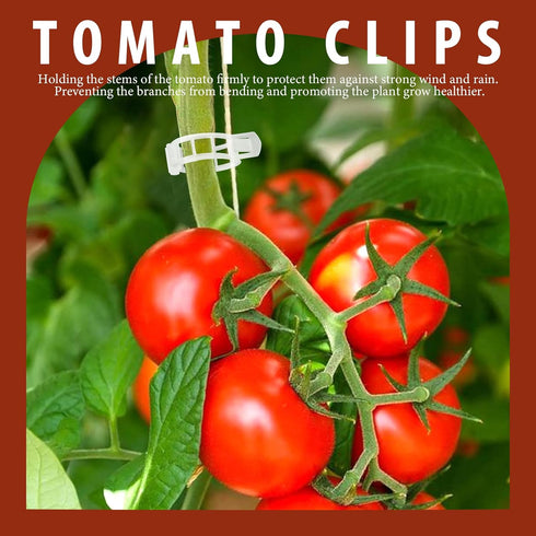 FANDAMEI 300 PCS Plant Support Clips, Tomato Clips, Plastic Garden Clips, Plant Ties, Trellis Clips, for Tomato Cucumber Flower Squash Vine, 1” In...