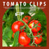 FANDAMEI 300 PCS Plant Support Clips, Tomato Clips, Plastic Garden Clips, Plant Ties, Trellis Clips, for Tomato Cucumber Flower Squash Vine, 1” In...