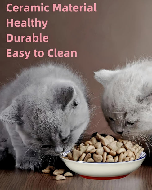 Whisker Fatigue Cat Bowl — 5.5 in Ceramic Cat Bowls, Shallow Cat Food Dish, Cute Flat Cat Bowl, Small Wide Cat Plates for Indoor Cats with Silicon...