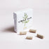 Simply Gum | Fennel | Plant- Based Chewing Gum | Pack of Six (90 Pieces Total) | Synthetic Plastic Free + Aspartame Free + non GMO...