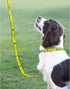 John Deere Pet Leash. Licensed Dog Leash, Large Leash for Dogs & Cats. A Shiny & Colorful Dog & Cat Leash Licensed by John Deere for All The Farme...
