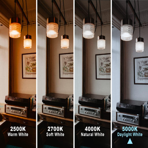ST58 (ST19) LED Edison Bulbs 45 Watt Equivalent, CRI 80+, High Brightness Daylight White 5000K Smoky Grey Glass, Dimmable Antique LED Filament Bul...