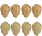 DECYOOL 8 Pack Paper Wasp Nest Decoy Hanging Wasp Nest Stay Away from Wasps Hornets Yellow Jackets(Dark Brown, Light Brown)...