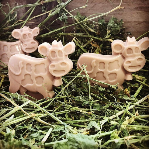 2 Pack Cow Chocolate Molds, Dairy Cattle Cake Pan Silicone Candy Fondant Biscuit Cookie Baking Mold Soap Lotion Bars Polymer Clay Mold (Random Col...