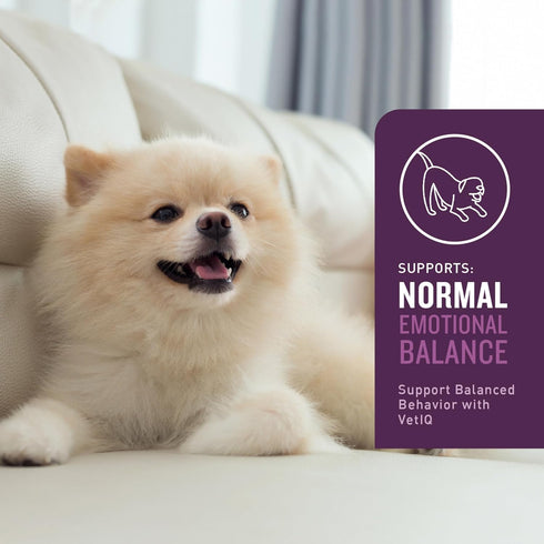 VetIQ Calming Support Supplement for Dogs, Calming Chews Help Manage Stress and Promote Relaxation, Anxiety Relief for Dogs, Made in The USA, 60 C...