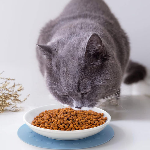 Dorakitten Ceramic Cat Food Plates for Wet Food, Wide Bowls to Stress Relief of Whisker Fatigue Cat Dishes, Shallow Bowls for Kittens and Small An...