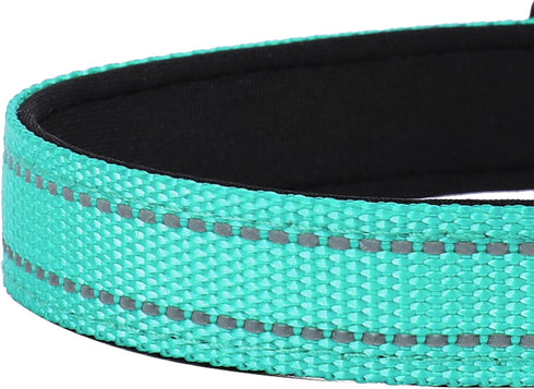 Reflective Dog Collar, Adjustable Soft Neoprene Padded Nylon Pet Collars with Buckle for Puppy and Small Dogs, Cats, Teal,XS...
