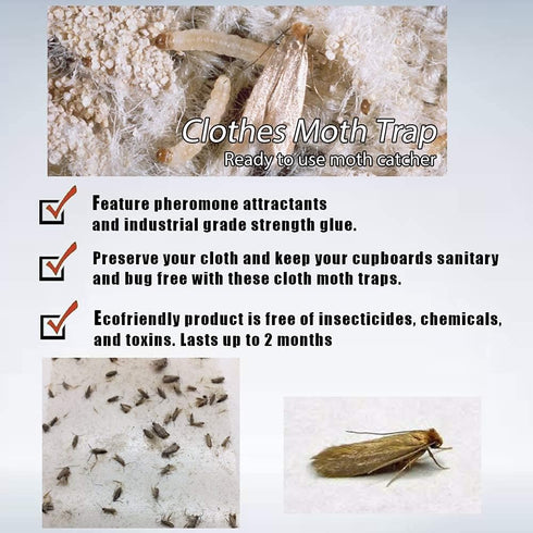 6 Pack – Powerful Pheromone Enhanced Moth Traps – Refillable Hanging Box - Odor-Free & Natural for Closet, Pantry, Kitchen...