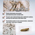 6 Pack – Powerful Pheromone Enhanced Moth Traps – Refillable Hanging Box - Odor-Free & Natural for Closet, Pantry, Kitchen...