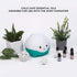LittleHippo Set of 6 Premium 100% Pure Essential Oils 10ml Specially Formulated for Kids/Children for Use with WISPI (Lavender, Tea Tree, Geranium...