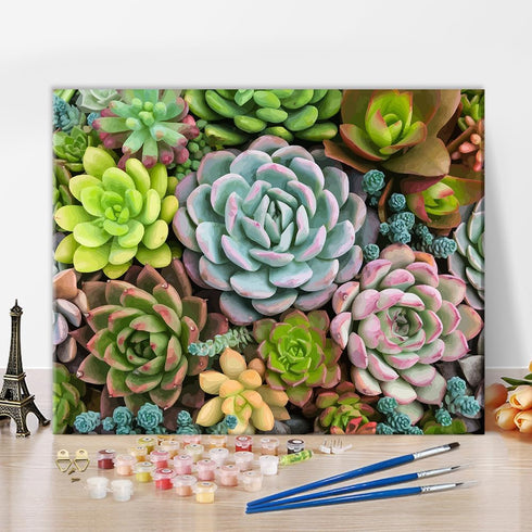 Adults Paint By Numbers Succulents Paint By Number Artwork DIY Cactus Numbers Painting Modern Beginners Paint By Numbers Art Lady Men Funny Painti...