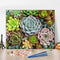 Adults Paint By Numbers Succulents Paint By Number Artwork DIY Cactus Numbers Painting Modern Beginners Paint By Numbers Art Lady Men Funny Painti...