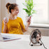 xasla 4 Inch Small USB Desk Fan, Mini Quiet Fan with Metal Construction & Strong Airflow & 360°Adjustable Tilt Angle, Personal Cooling Fan for Des...