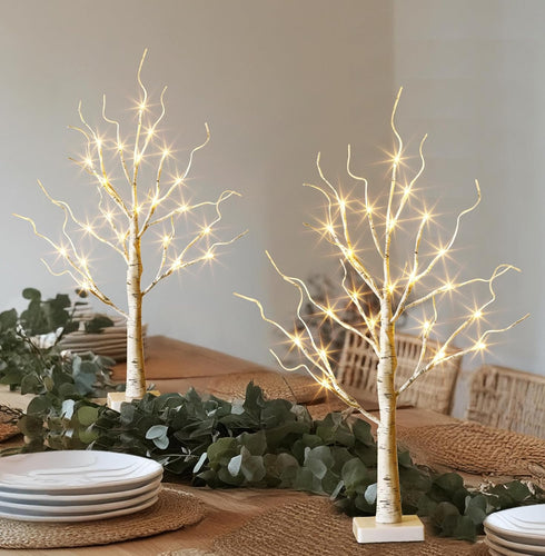 EAMBRITE Lighted Birch Tree Spring Decorations for Home, Christmas Decorations Indoor, 2Pack 24 LED Battery Operated/USB Tabletop Mini Small Artif...