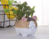 VanEnjoy 4.7 inch Large Version Cat Succlent Pots Cat Pot, with Drainage Hole, Flower Pot, Handmade Ceramic Ornaments Cat Gifts for Cat Lovers Off...
