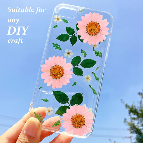 Dried Pressed Flowers, 60PCS Pink Natural Real Daisy, DIY Craft, Scrapbooking, Candle Making...