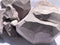 Purple Astana Clay 200 GMS...