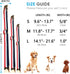 Luxury Dog Collar, Cute Dog Collars, Durable Pet Collars with Metal Buckle Safety for Large Dogs...