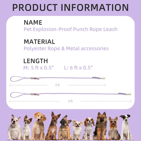 Wisedog Polyester Rope Dog Leash Heavy Duty with Soft Comfortable Padded Handle, Durable Stylish Braided Pet Leash 5 Ft/6 Ft for Small Medium Larg...
