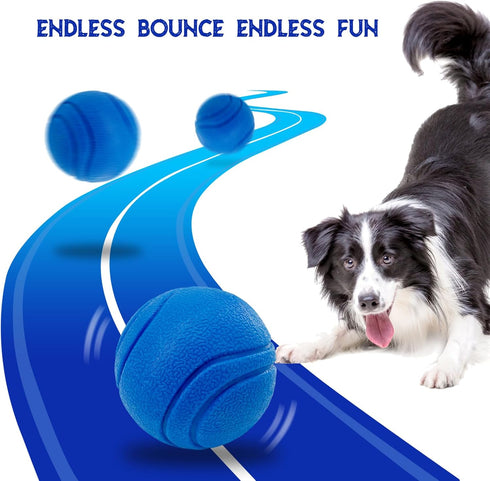 Dog Toys for Aggressive Chewers - Shark Interactive Dog Toys to Keep Them Busy 2 in 1 Indestructible Dog Toy for Large Dogs(Grey)...