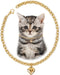 Dog Collar and Cat Chain Necklace Stainless Steel Adjustable 18K Gold Heart-Shaped Necklace for Small Pets Cats Kitten Puppy (Gold, 7 inch)...