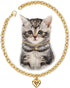 Dog Collar and Cat Chain Necklace Stainless Steel Adjustable 18K Gold Heart-Shaped Necklace for Small Pets Cats Kitten Puppy (Gold, 7 inch)...