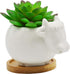 Cuteforyou Succulent Pots,Cute Cartoon Ceramic Succulent Cactus Flower Pot,Pencil Holders,Desk Accessories, Makeup Brush Storage Stand-Plant Not I...