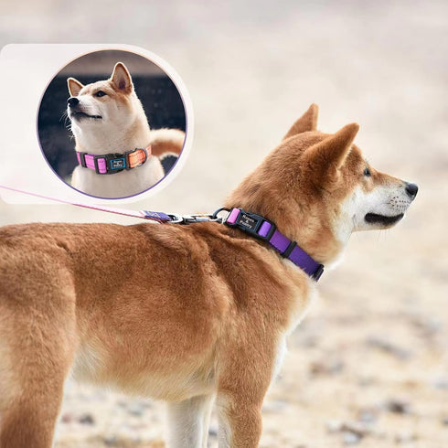 Reflective Dog Collar and Leash Set, Purple Martingale Dog Collar and Leash for Medium Dogs, Adjustable Durable Nylon Pet Collars with Leashes for...