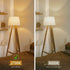 BORT ST58/ST19 Vintage LED Edison Bulbs, Warm White 2700K, Dimmable 6W Edison Light Bulbs, 60W Equivalent, 700LM, E26 Standard Base Filament LED B...