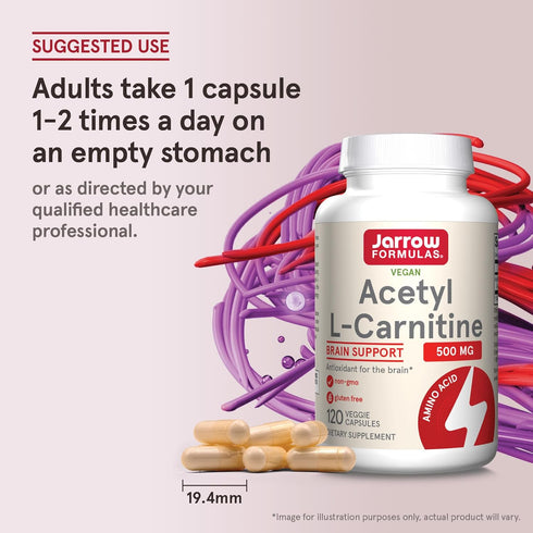 Jarrow Formulas Acetyl L-Carnitine 500 mg, Dietary Supplement, Amino Acid Support for Brain Health and Antioxidants, 120 Veggie Capsules, 120 Day ...