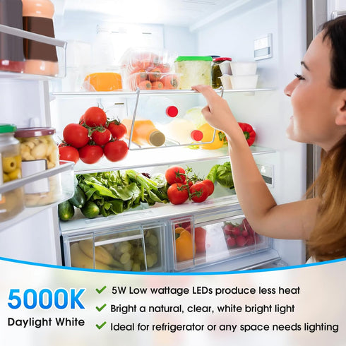 LED Refrigerator Light Bulb, 40 Watt Equivalent A15 Fridge Bulb Waterproof, Daylight White 5000K, 550LM E26 Base, 5W Appliance Bulb, 2-Pack......