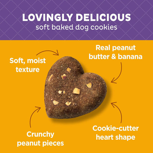Old Mother Hubbard Wellness Wholesome Indulgences Peanut Butter & Banana Flavor Natural Dog Treats, 10 Ounce Bag...