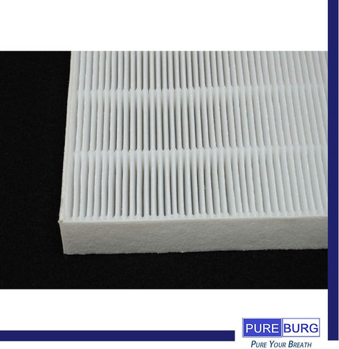 PUREBURG AeraMax 300 Replacement True HEPA Filter Set Compatible with Fellowes HF-300 fits Fellowes AP300PH HF300 AeraMax 290 300 DX95 Air Purifie...